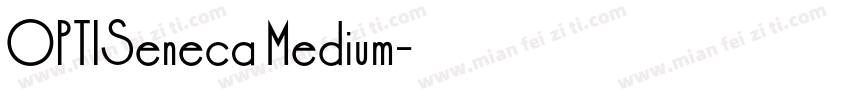 OPTISeneca Medium字体转换